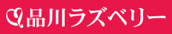 品川　浜松町　田町　デリヘル