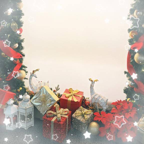 ことりちゃん　写メ画像