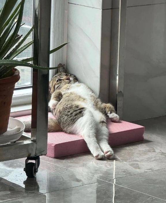 あおちゃん　写メ画像