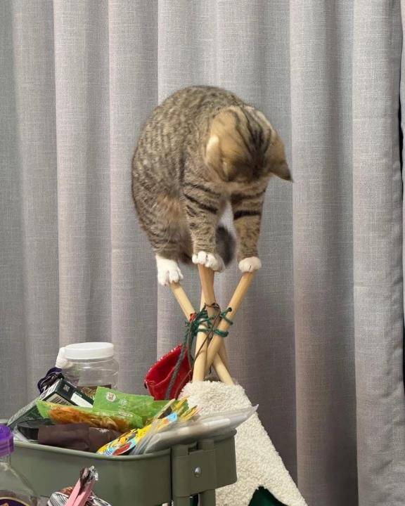 あおちゃん　写メ画像