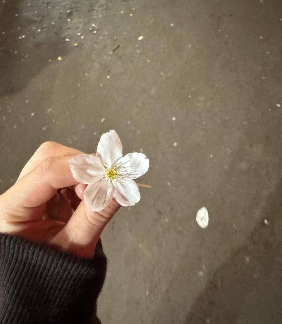 あかねちゃん　写メ画像